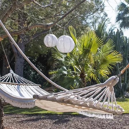 Xarabella By Aguilarent Denia